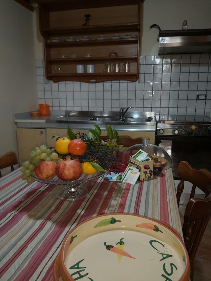 B&B Nonna Angela Albanella Zewnętrze zdjęcie